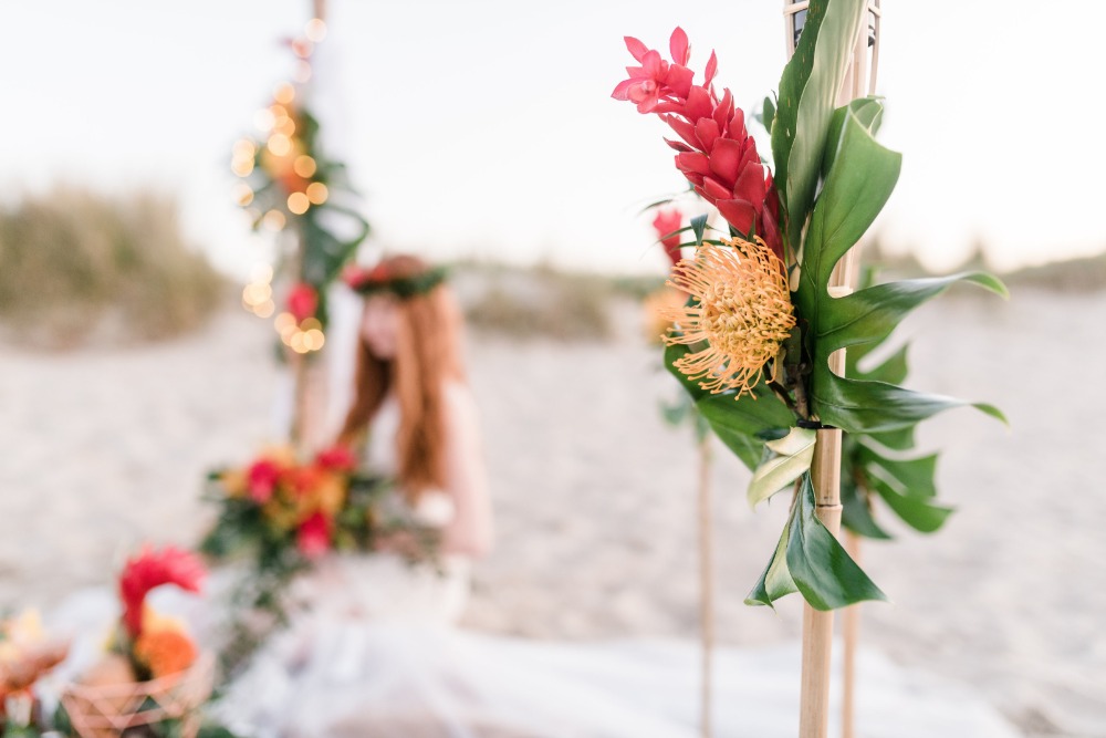 wedding-submission-from-sandra-heutzen