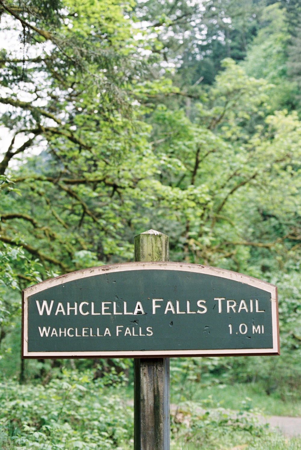 Wahclella Falls Trail sign: 1 mile to falls