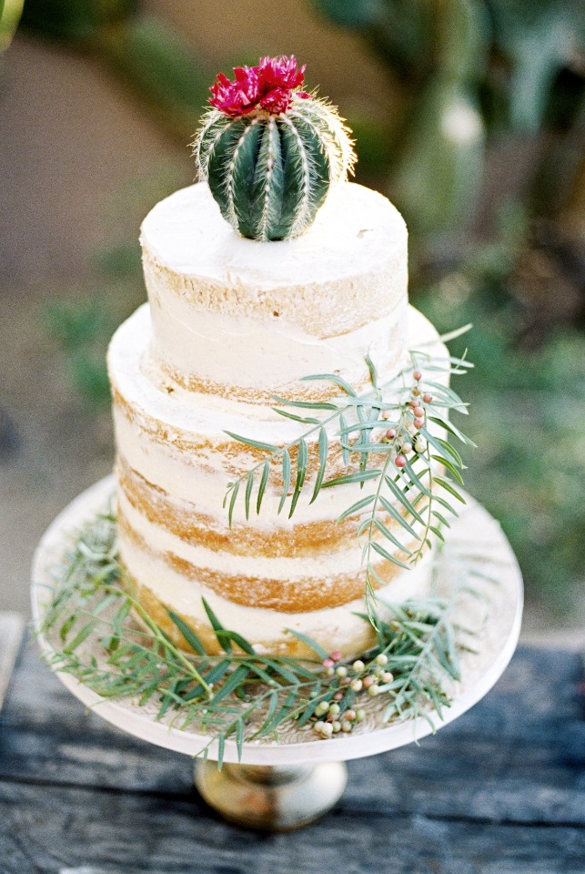 mini cacti topped naked cake