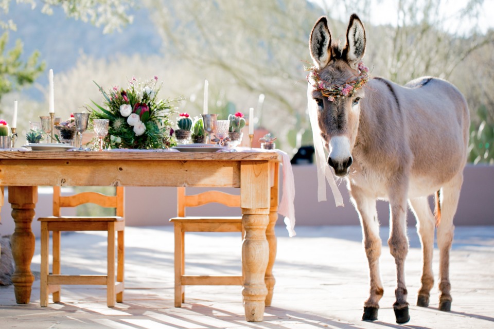 Beer burro and sweetheart table