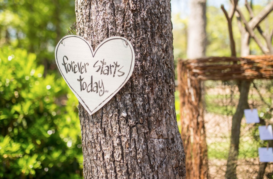 cute forever starts today wedding sign