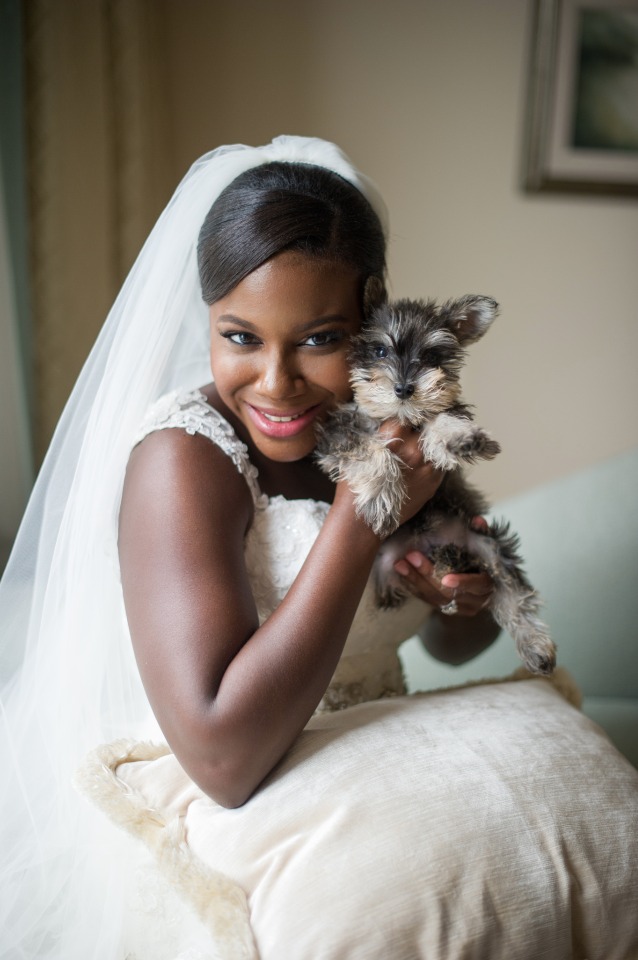 Bride in wedding dress holds adorable schnauzer puppy