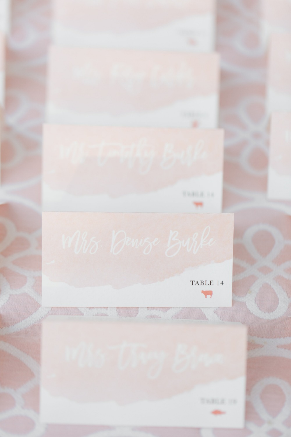 wedding-submission-from-amy-amp