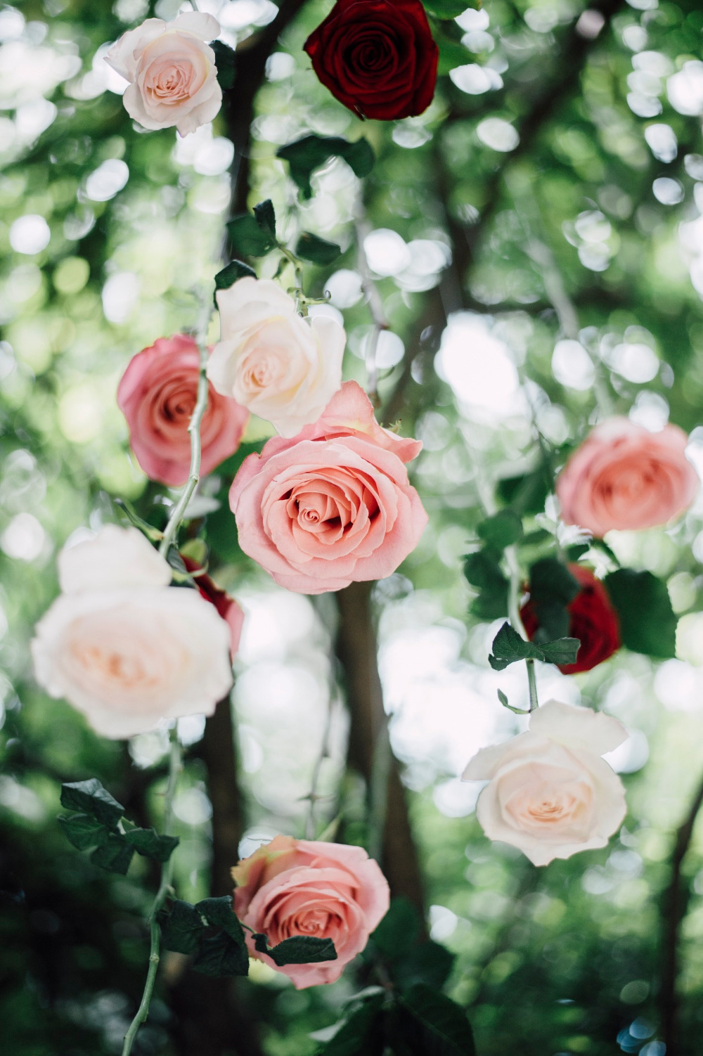 wedding-submission-from-anne-laure