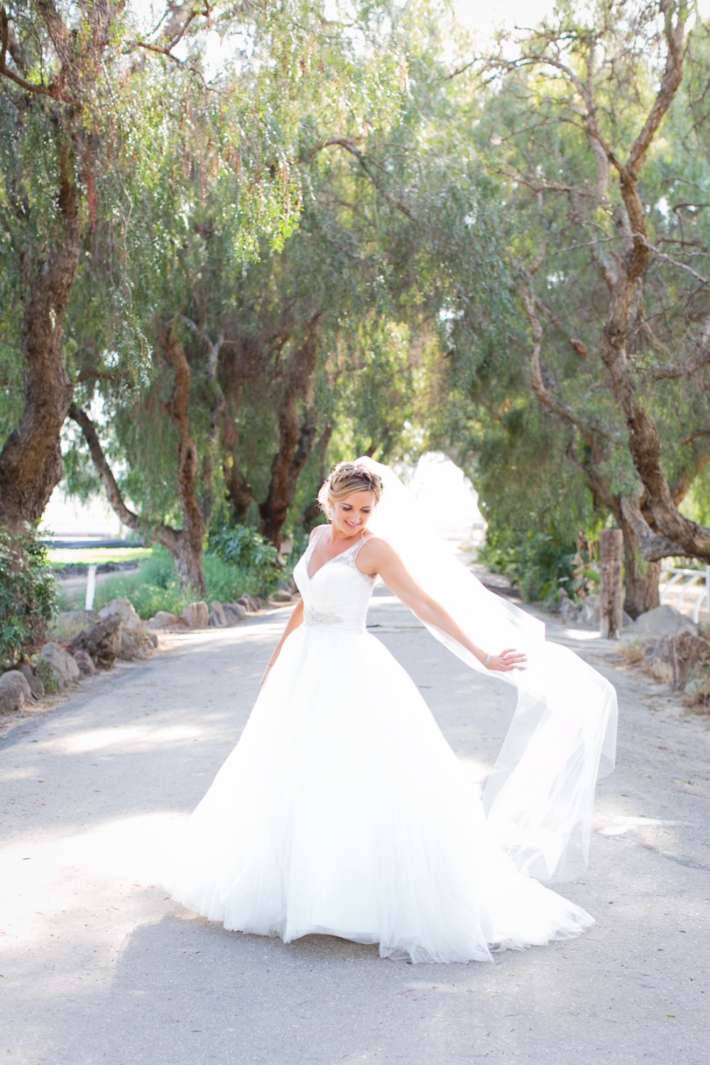 wedding-submission-from-billye-donya
