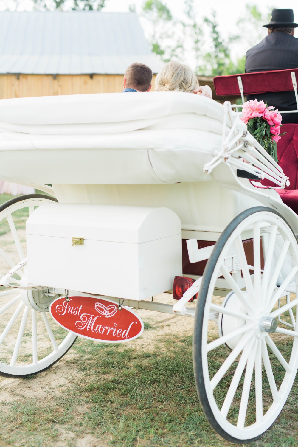 Just married carriage sign