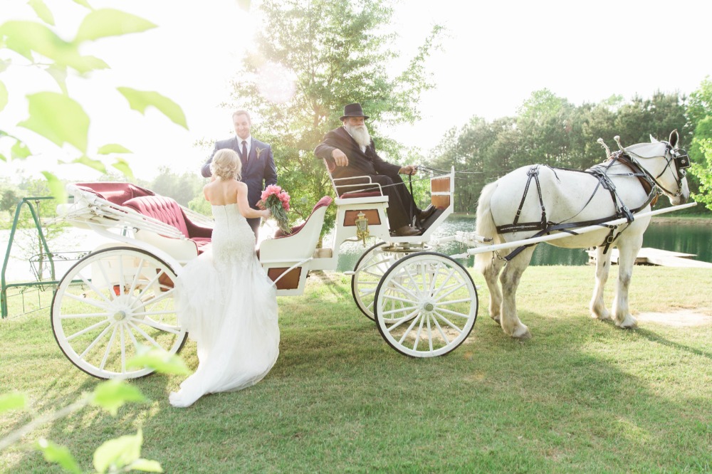 wedding-submission-from-brooke-holden