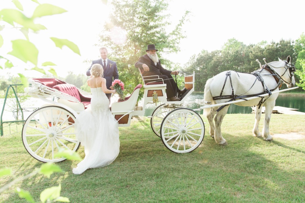 wedding-submission-from-brooke-holden