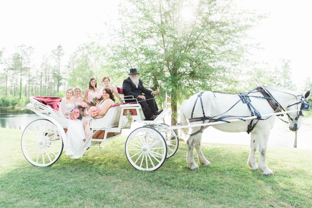 wedding-submission-from-brooke-holden