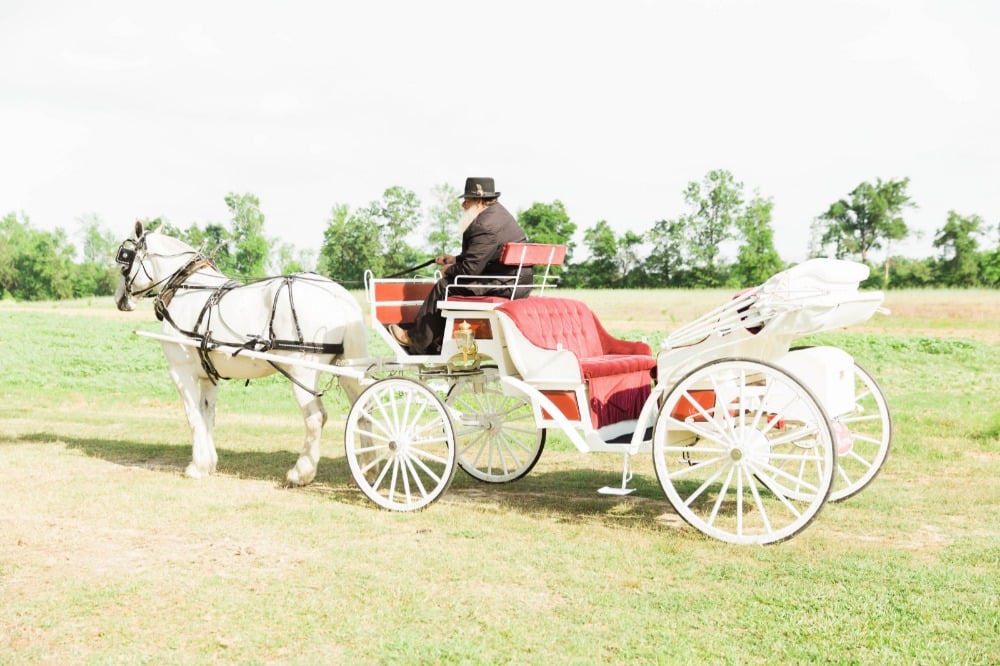 Farm wedding carriage
