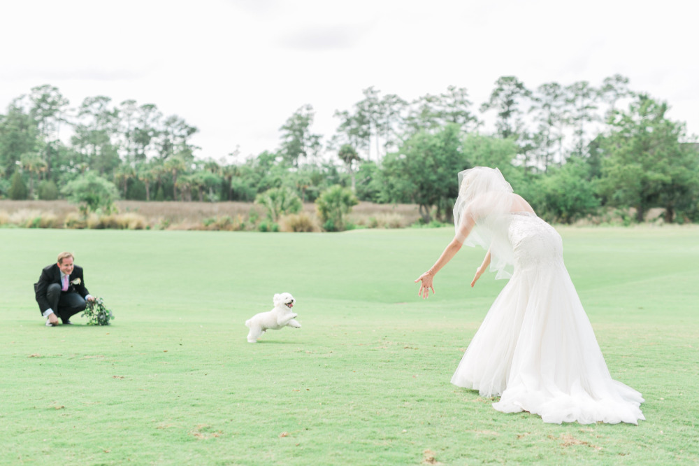 wedding-submission-from-catherine-ann