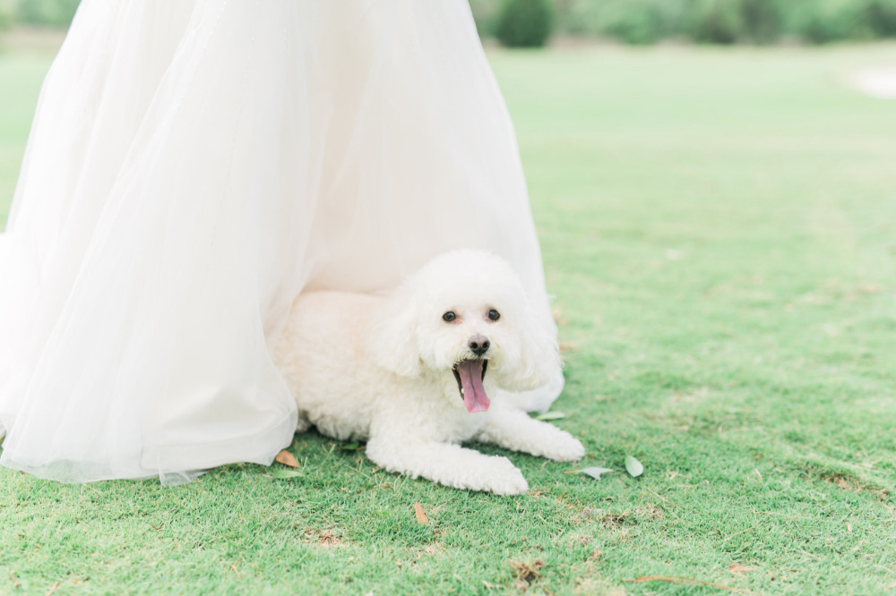 wedding-submission-from-catherine-ann