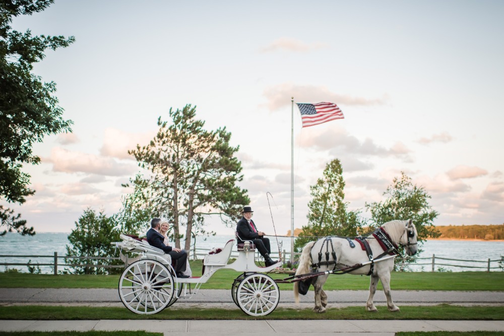 Elegant white horse drawn carriage on a seaside lawn
