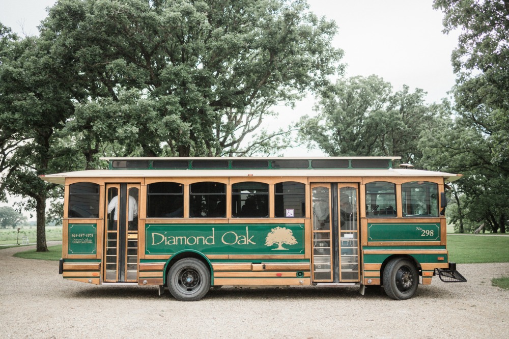 wedding-submission-from-chelsea-higgins