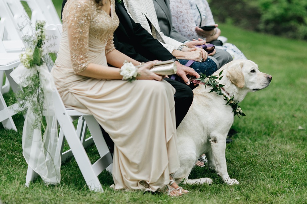 wedding-submission-from-emily-wren