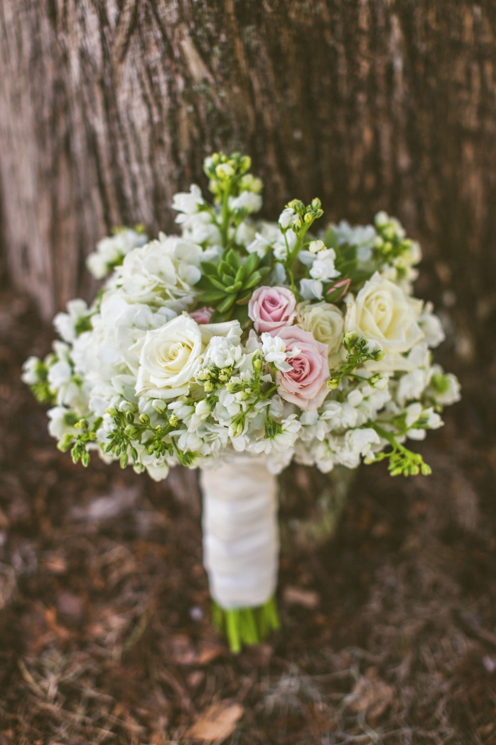 wedding-submission-from-jason-martin