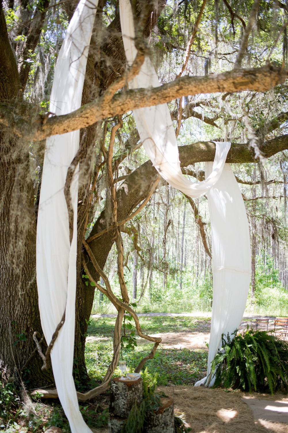 wedding-submission-from-kaitlin