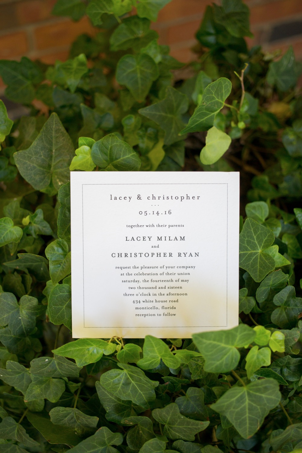 wedding-submission-from-kaitlin