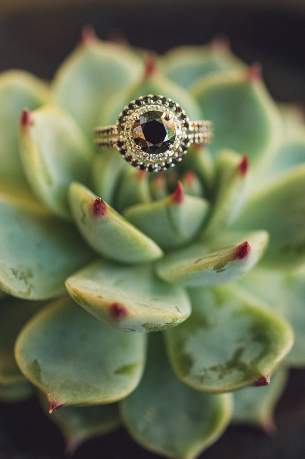 wedding-submission-from-love4wed