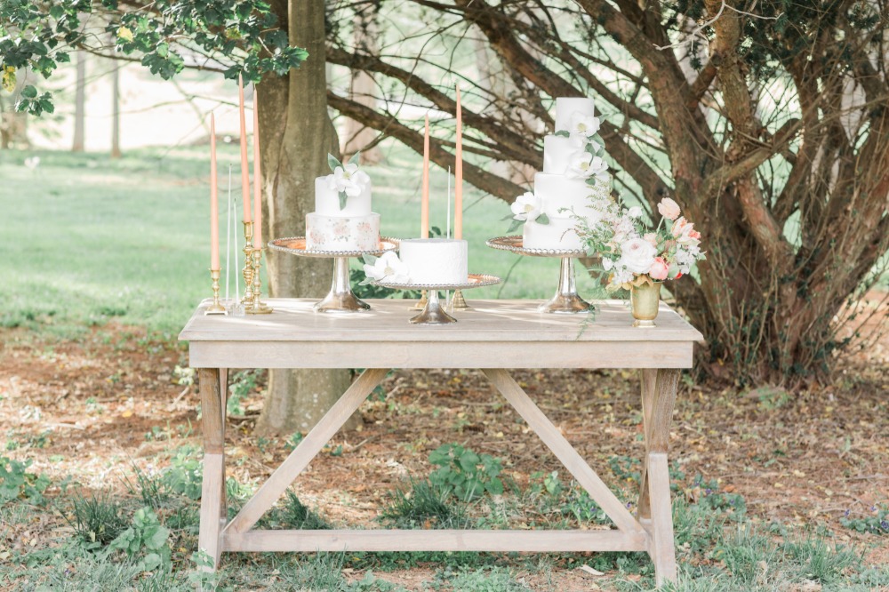 Rustic chic cake table
