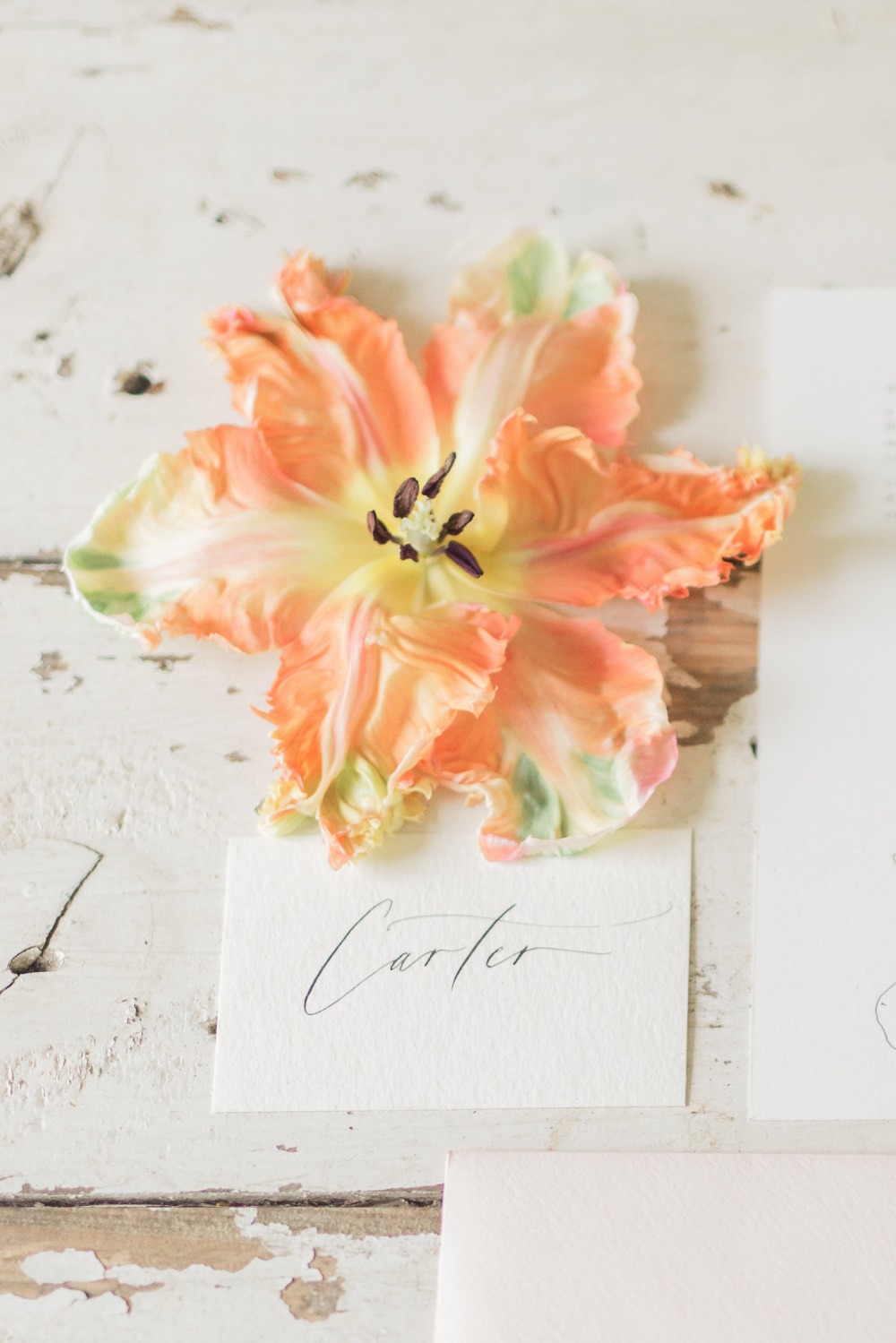 wedding-submission-from-lynn-dunston