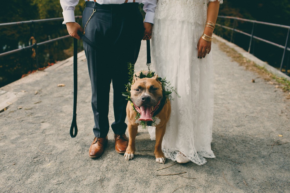 wedding-submission-from-tom-and