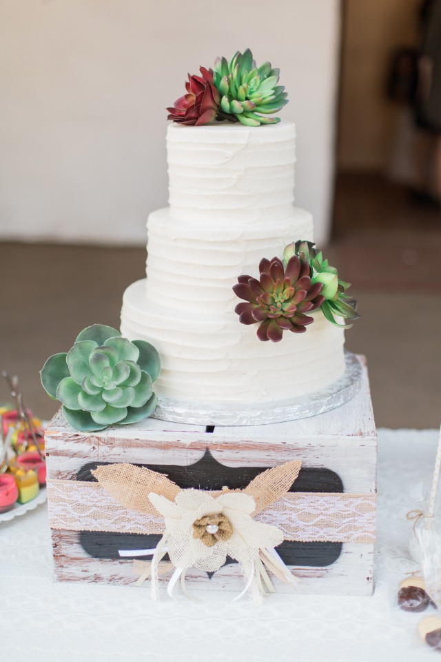 succulent topped wedding cake