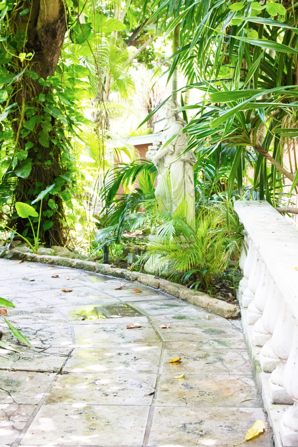 Stone path winds through lush tropical garden with statue