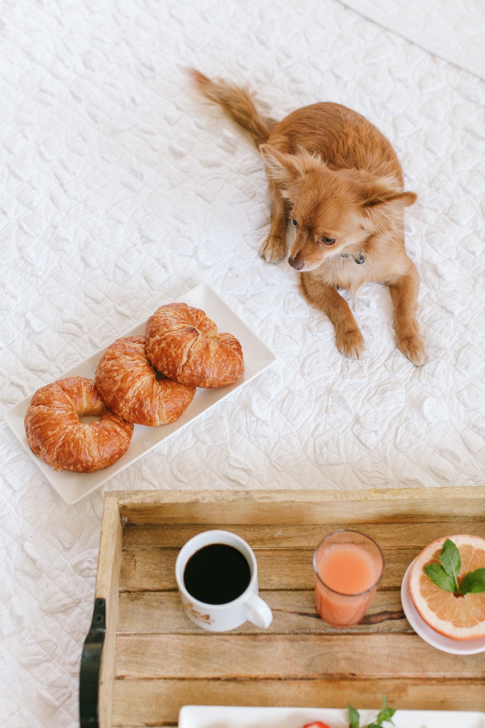 breakfast-in-bed-with-your-babe-and