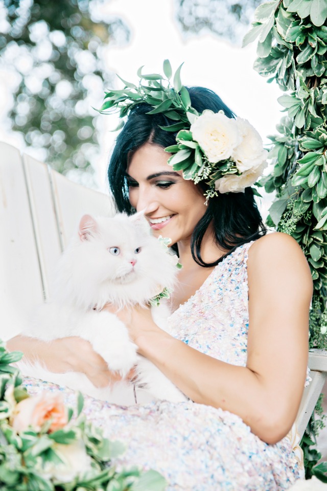 pretty white wedding cat
