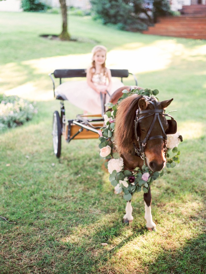 fairy tale cart and pony just for the flower girl