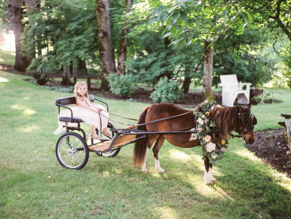 wedding carriage pulled by a flower draped pony