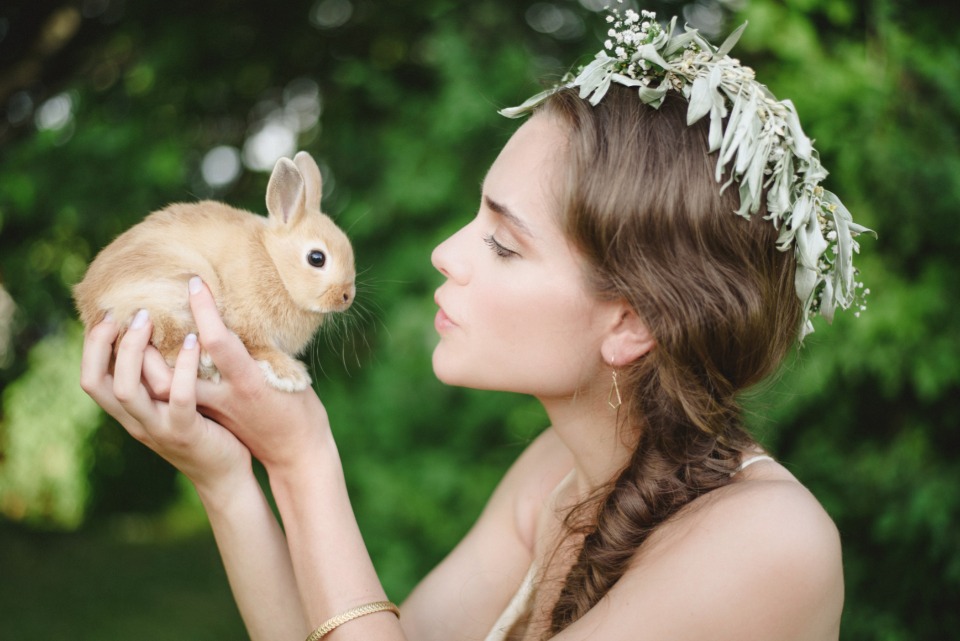 baby bunnies and the bride