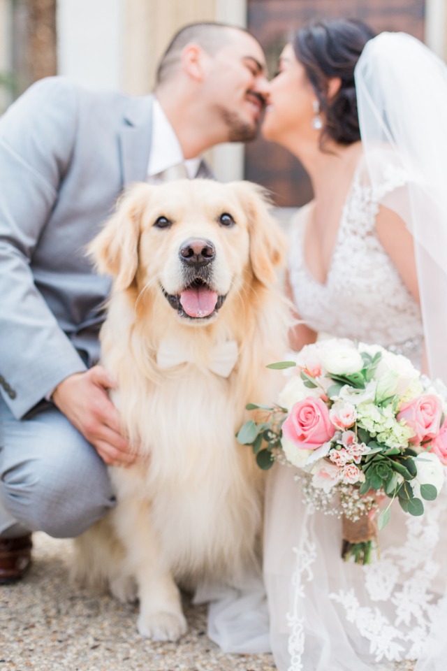 This wedding pup is so happy for his humans