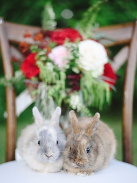 Red and Gold Late Summer Wedding Ideas