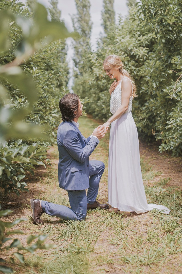 a proposal amongst the apples