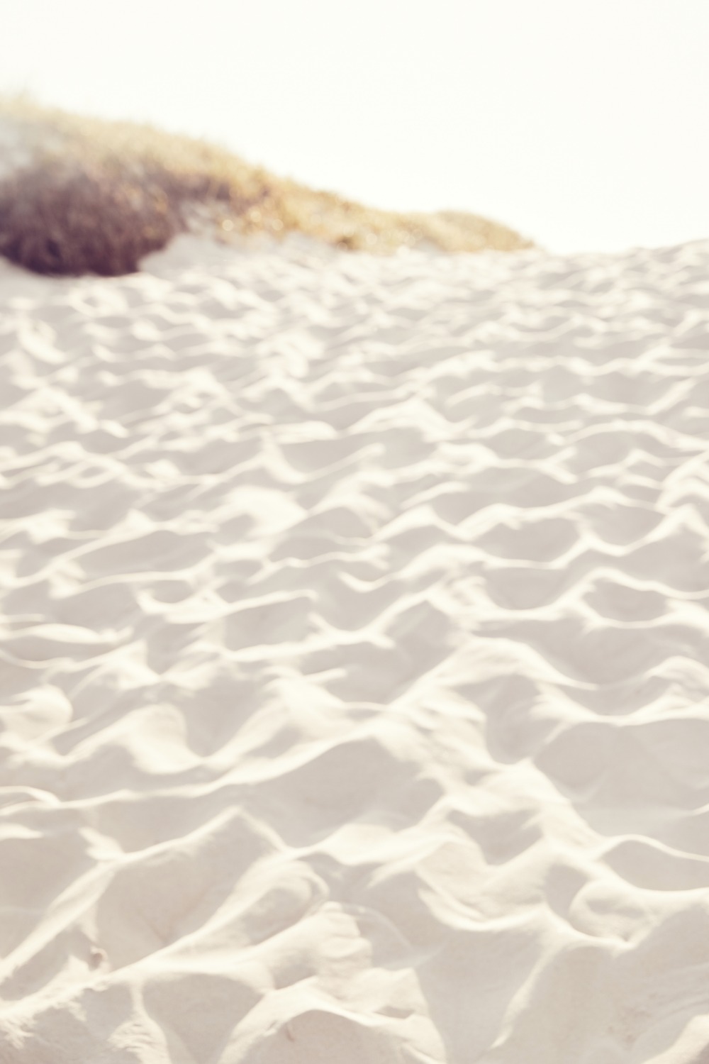 SHOT_08_218