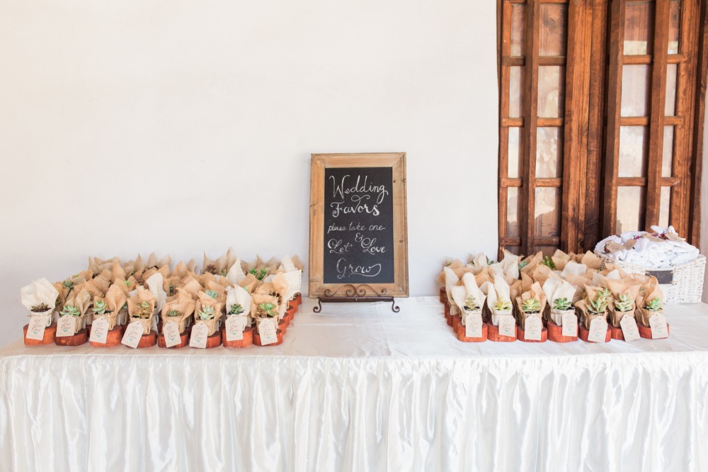 wedding-submission-from-danielle-bacon