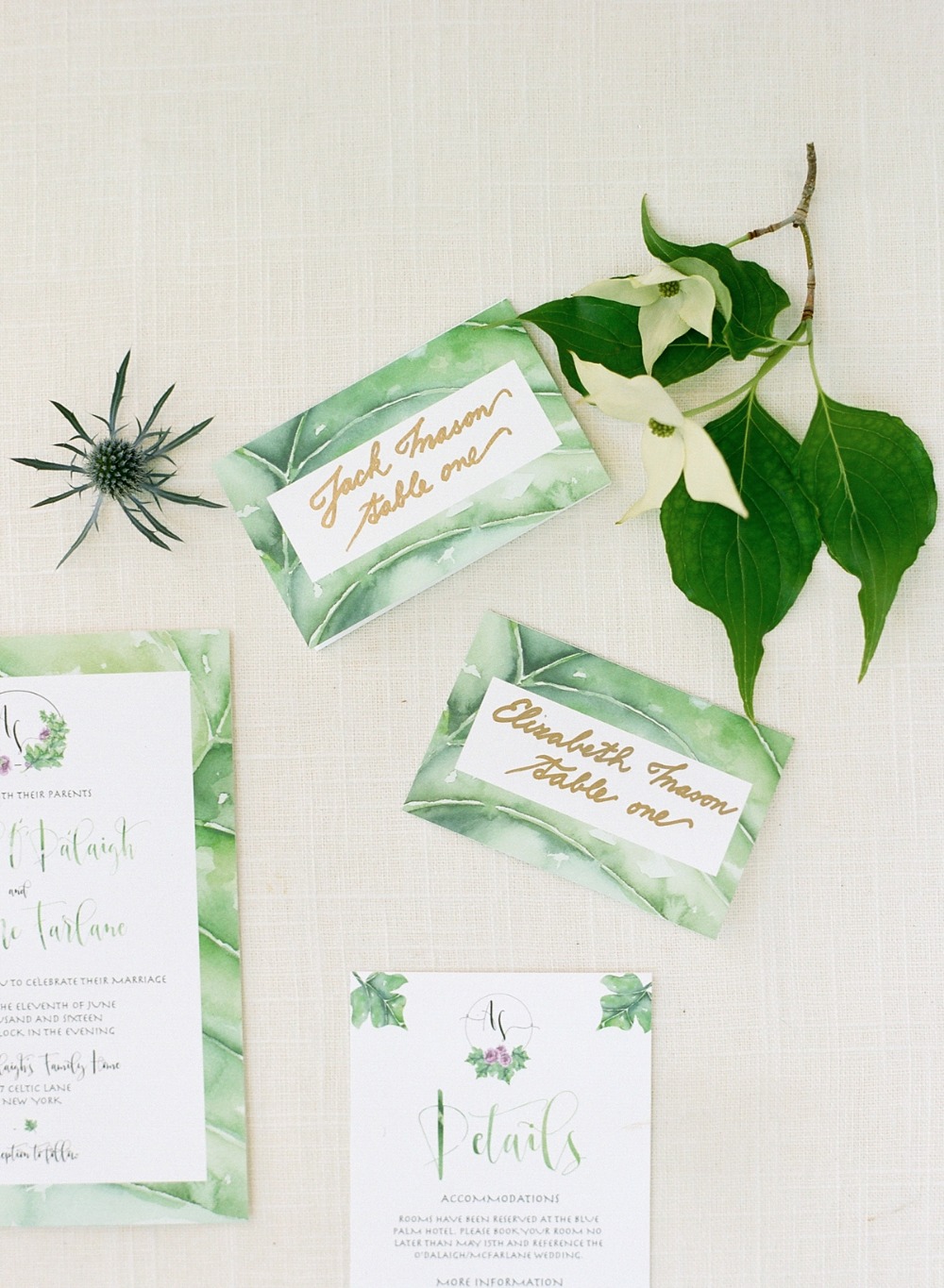 wedding-submission-from-elena-wolfe