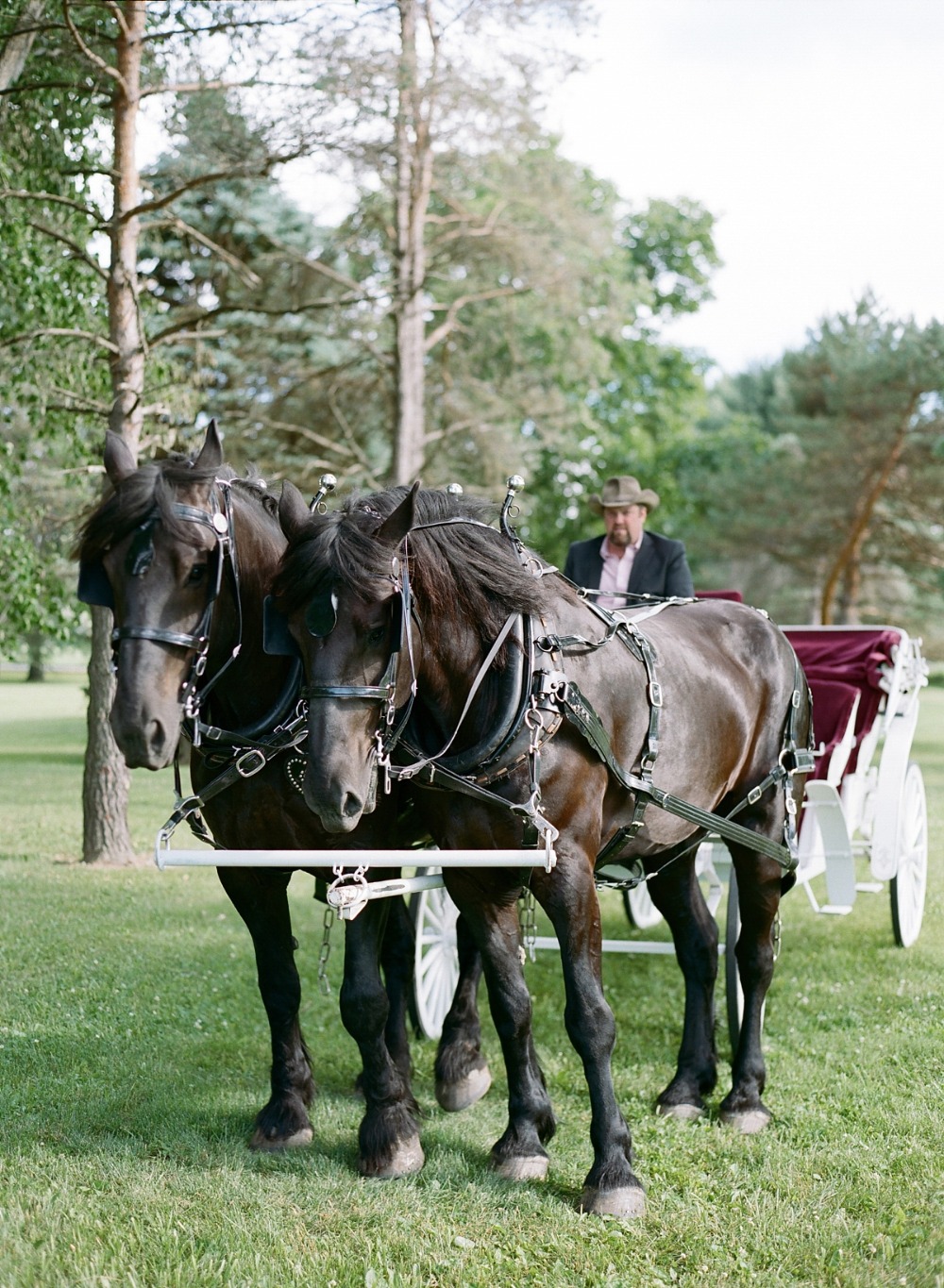 Wedding carriage transportation