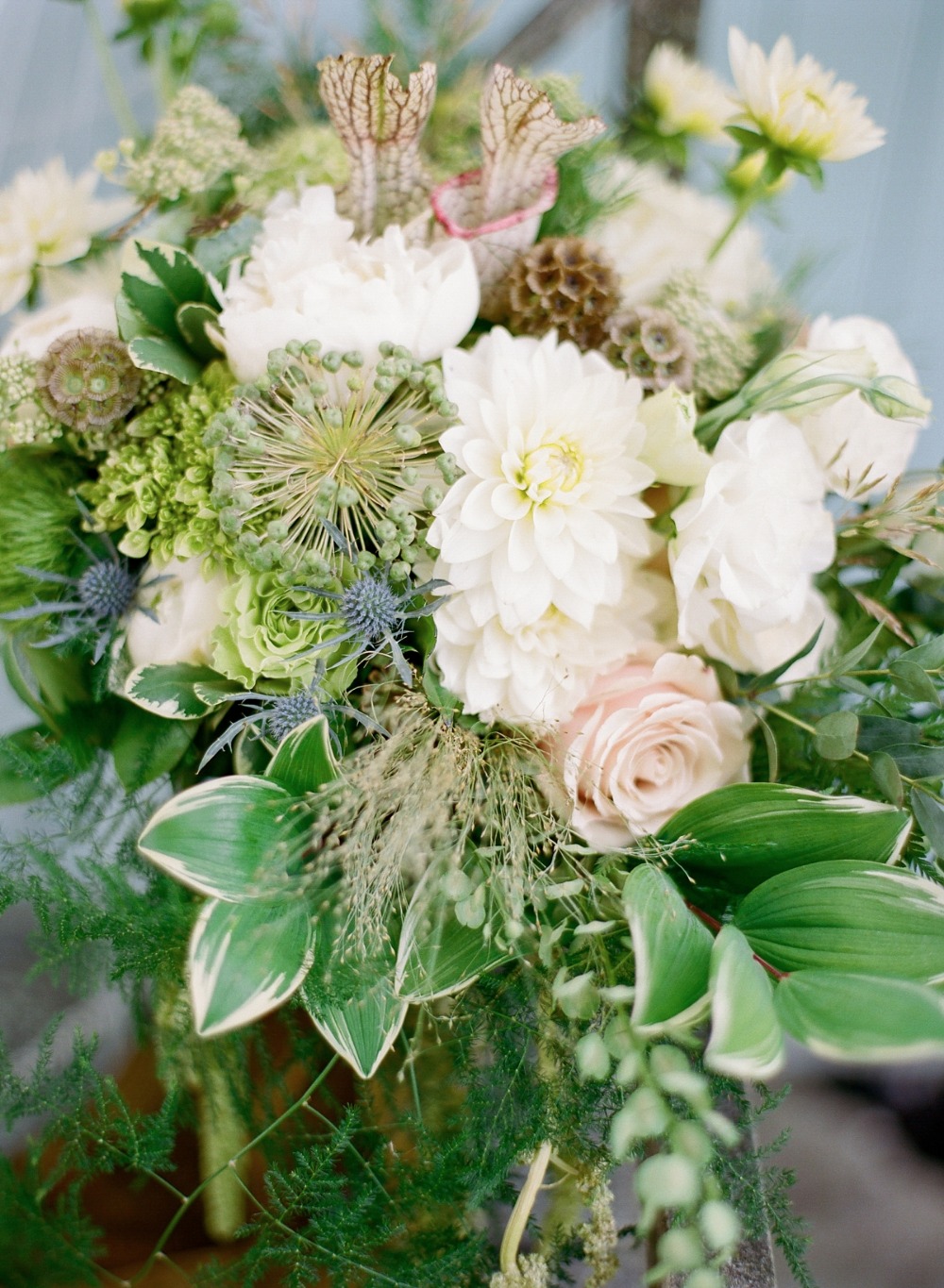 wedding-submission-from-elena-wolfe