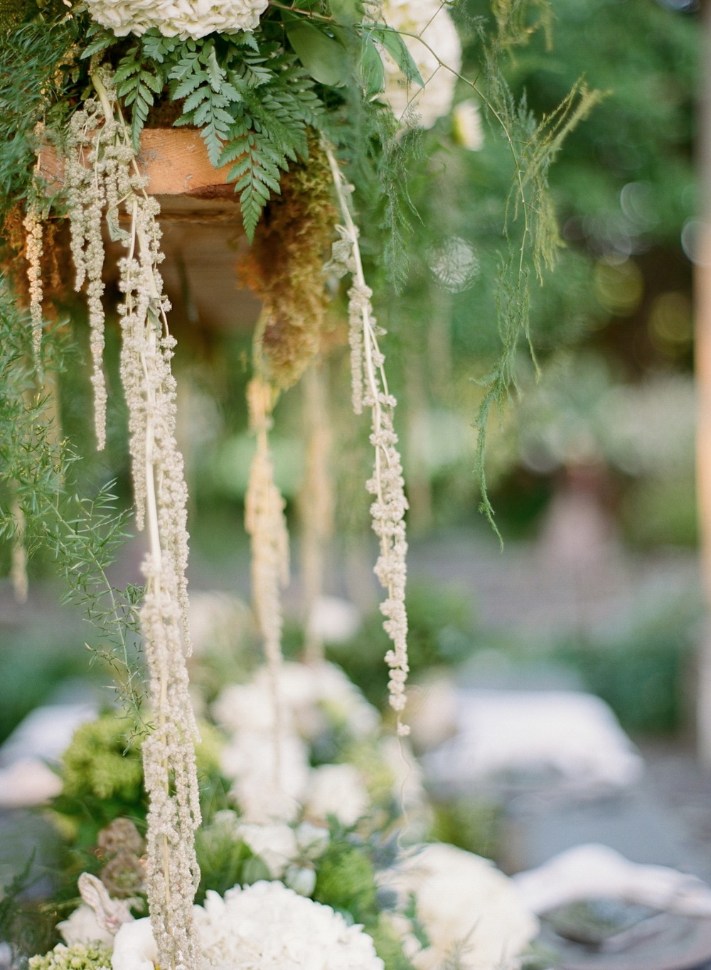 wedding-submission-from-elena-wolfe
