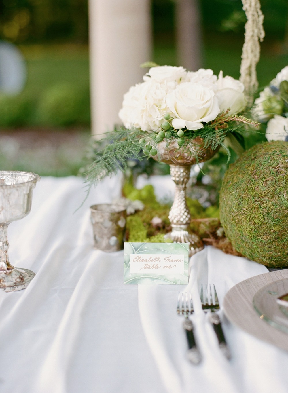 wedding-submission-from-elena-wolfe