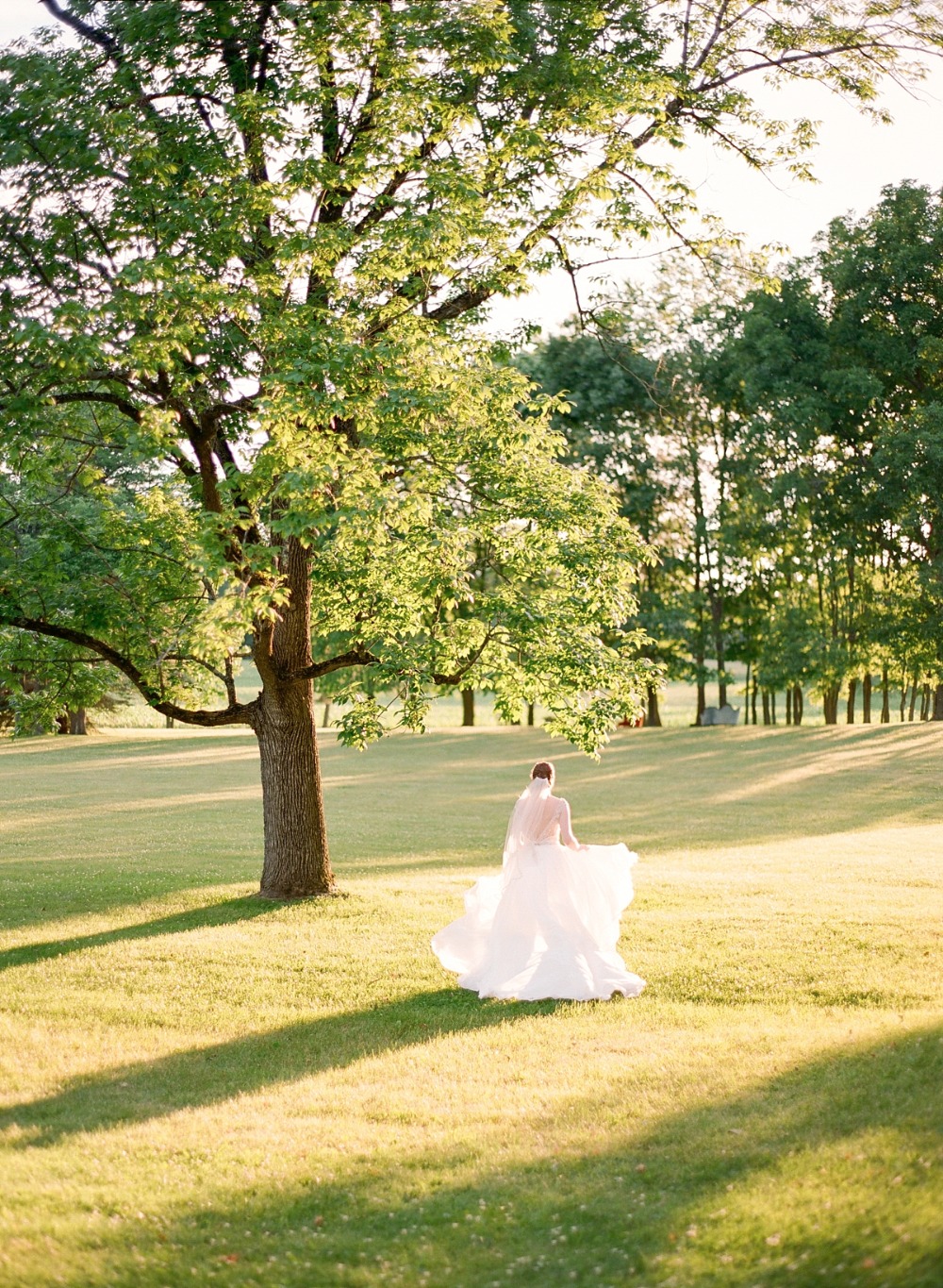 wedding-submission-from-elena-wolfe