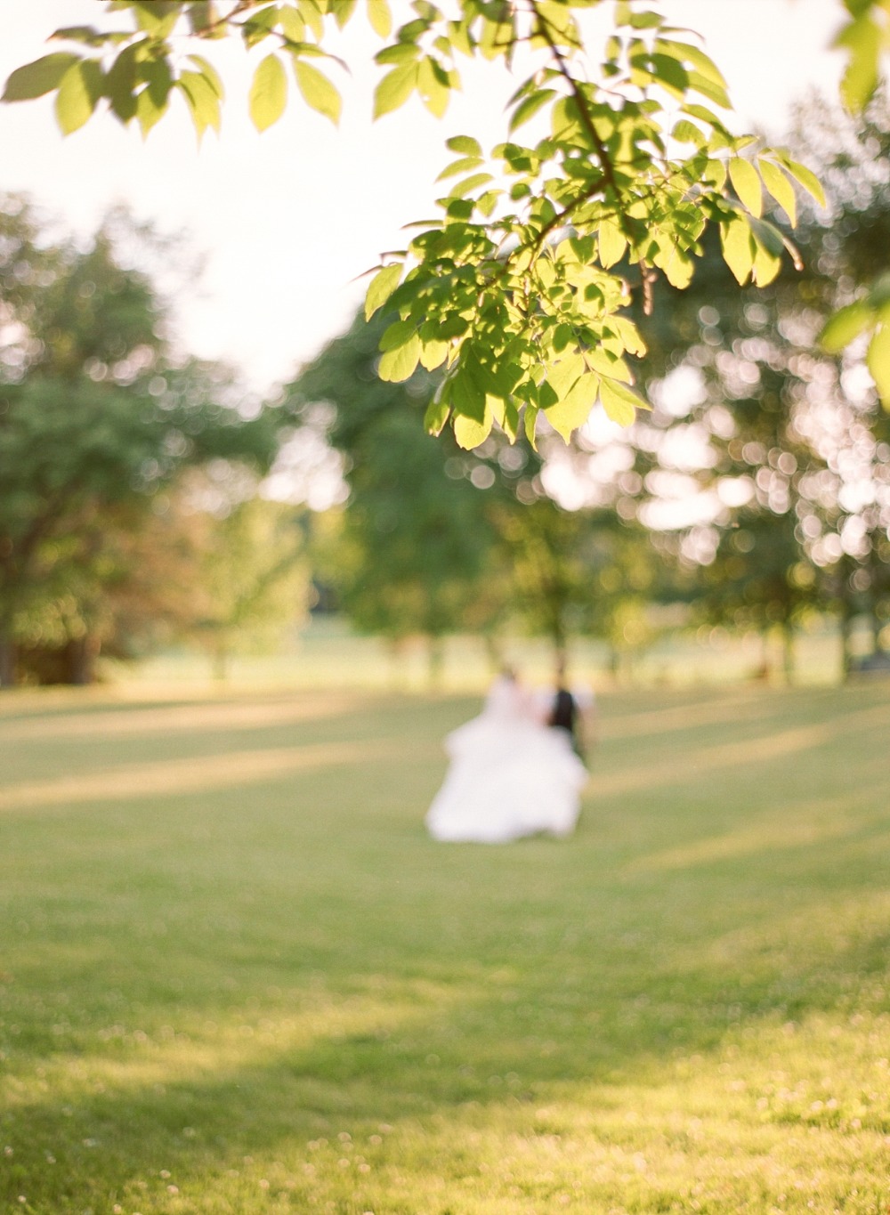 wedding-submission-from-elena-wolfe