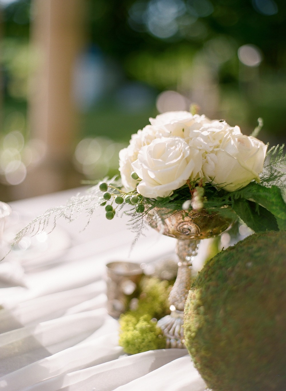 wedding-submission-from-elena-wolfe