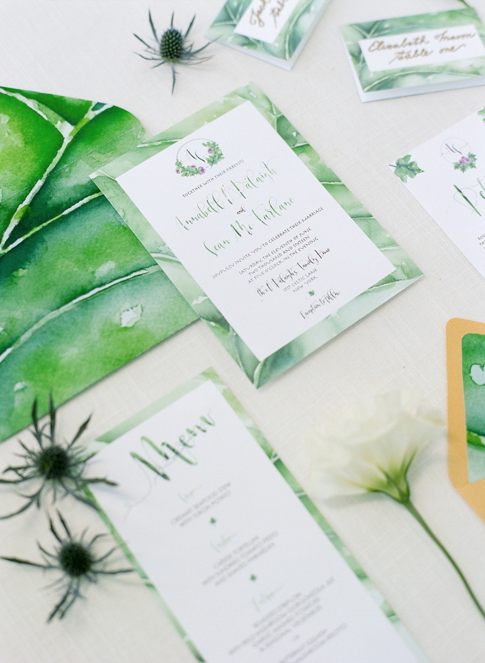 wedding-submission-from-elena-wolfe