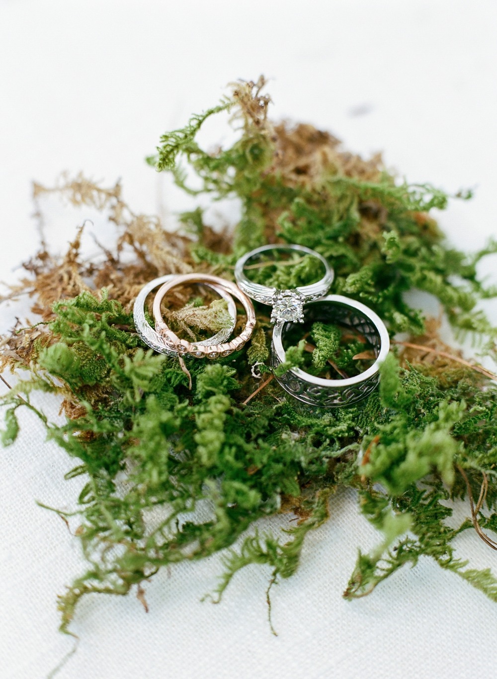 wedding-submission-from-elena-wolfe
