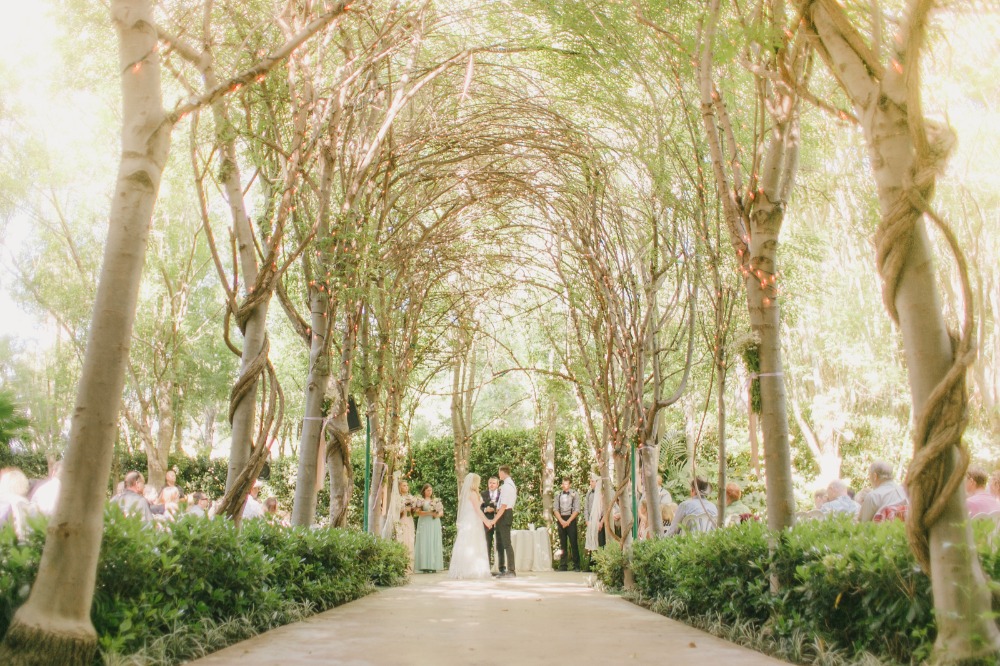 wedding-submission-from-jaclyn-bishop