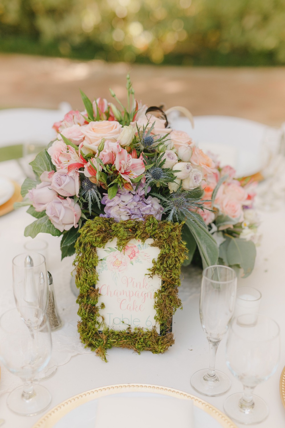 wedding-submission-from-jaclyn-bishop